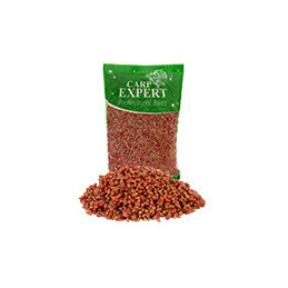 Grau nadire carp expert (vidat, 6luni) capsuni