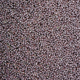 Top Feeder Pellets Squid Căpșună 1.5mm 1kg - Pelete Aromate pentru Pescuit la Feeder