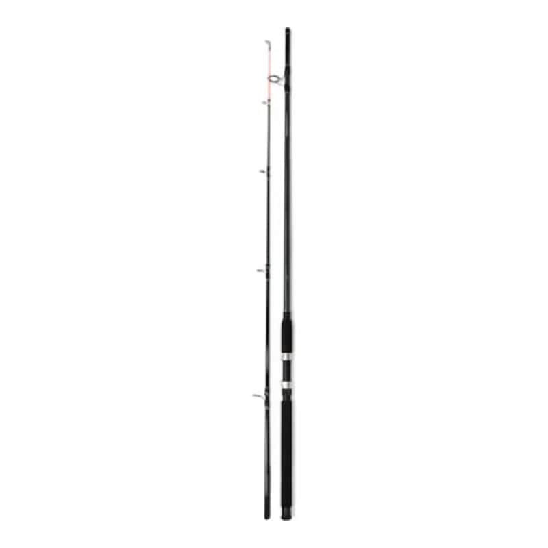 Lanseta Wind Blade Titanium Carp 2.1 m (2 segmenti) A2 Lanseta Wind Blade Titanium Carp 2.1 m (2 segmenti) A2