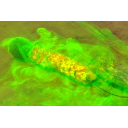 Dip neon spray ananas 30ml | Atractanti & Lianti