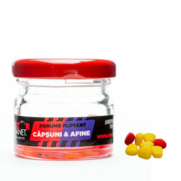 Porumb artificial fructe dulci (capsuni & afine) | Porumb Artificial