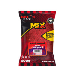 Nada umeda capsuna 800g | Nada Preparata