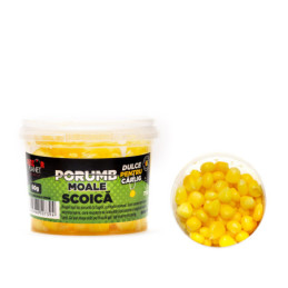 Porumb moale pentru carlig scoica 60g | Porumb moale de carlig