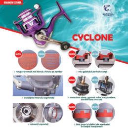 Mulineta spinning Baracuda Cyclone 20