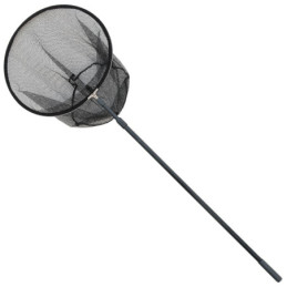 Minciog L1