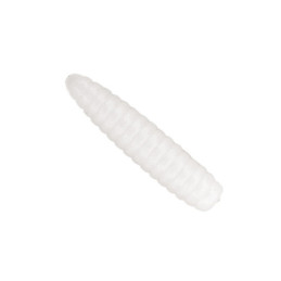 Twistere Baracuda W 057