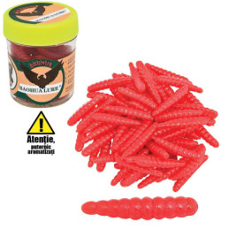 Viermi rosii comuni (breadworms) Baracuda