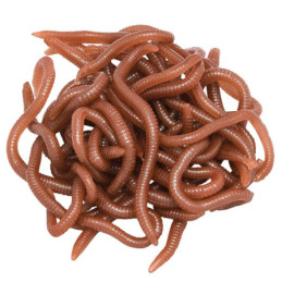 Rame (earthworms)