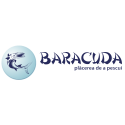 Baracuda